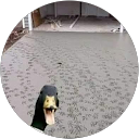 KevtheDev profile picture